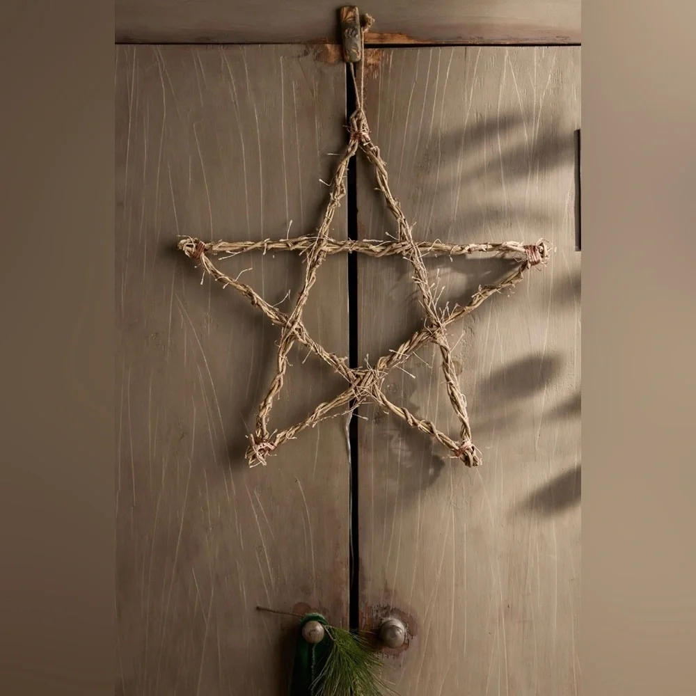 RARE TERRAIN NWT Stargazer Illuminated LED Vine Star